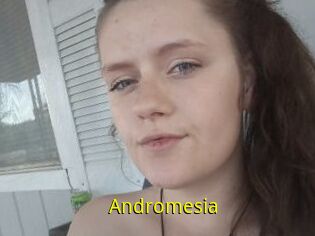 Andromesia
