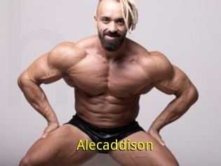 Alecaddison