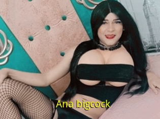 Ana_bigcock