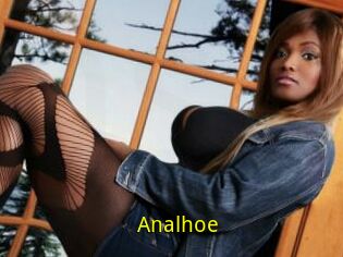 Analhoe