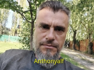 Anthonyalf