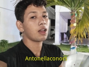 Antonellaconors