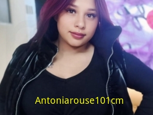 Antoniarouse101cm