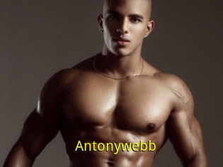 Antonywebb