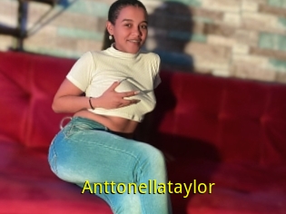 Anttonellataylor