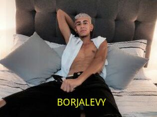 BORJALEVY