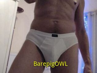 BarepigOWL