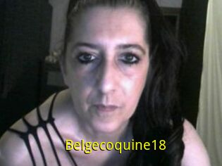 Belgecoquine18