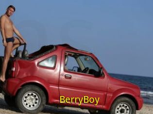 BerryBoy