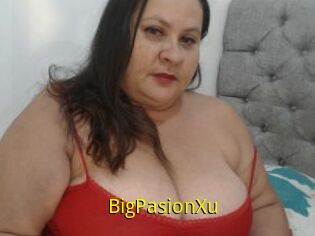 BigPasionXu