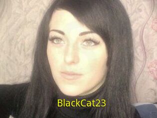 BlackCat23