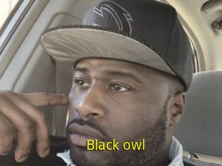 Black_owl