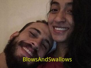 BlowsAndSwallows