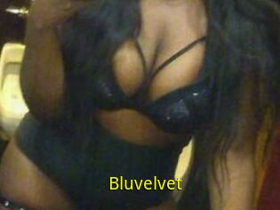 Bluvelvet