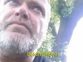 BoldIrishBear