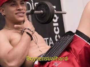 Boysensualhard