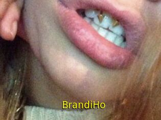 BrandiHo