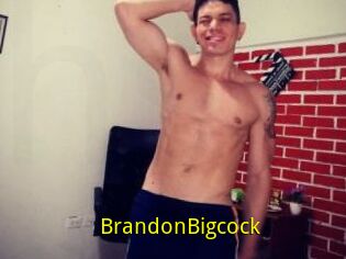 BrandonBigcock