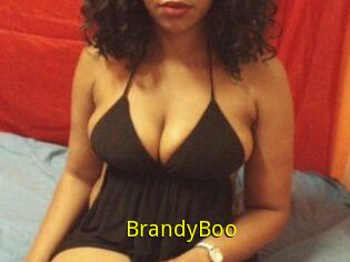 BrandyBoo