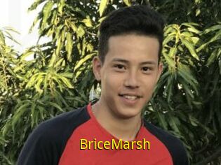 BriceMarsh