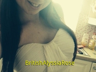 BritishAlyssiaRose