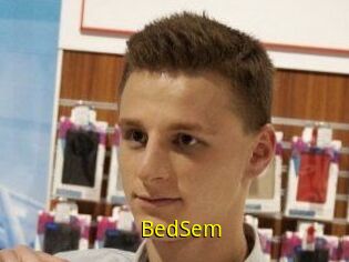 BedSem