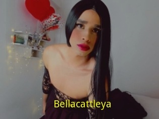 Bellacattleya