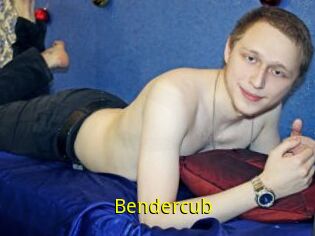 Bendercub