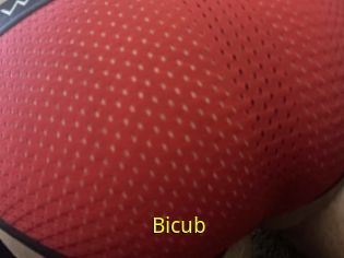 Bicub