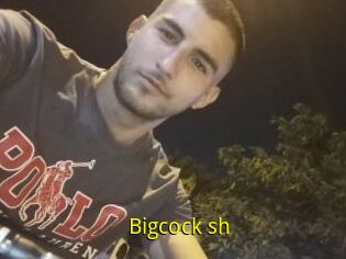 Bigcock_sh