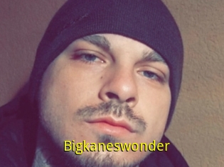 Bigkaneswonder