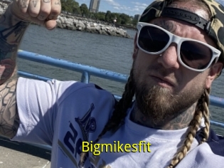 Bigmikesfit