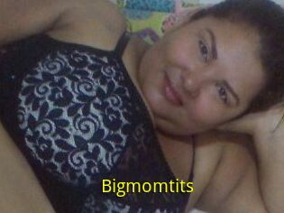 Bigmomtits