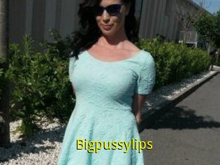 Bigpussylips