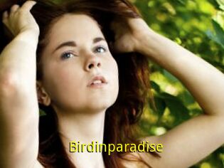 Birdinparadise