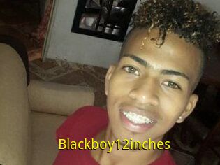 Blackboy12inches