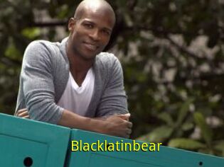 Blacklatinbear