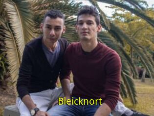 Bleicknort