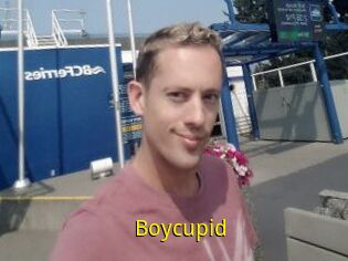 Boycupid