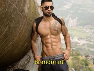 Brandonnt