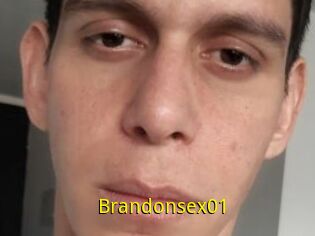 Brandonsex01