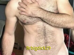 Brbigdick29