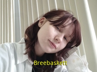 Breebaskett