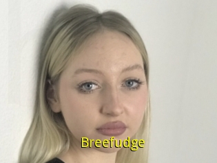 Breefudge