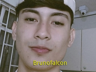 Brunofalcon