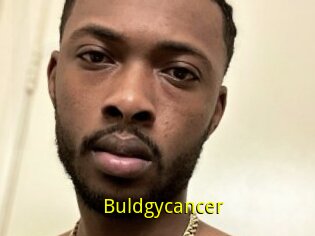 Buldgycancer