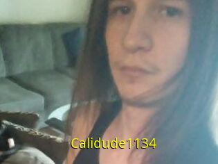 Calidude1134