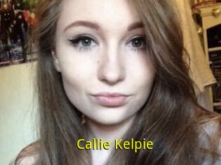 Callie_Kelpie