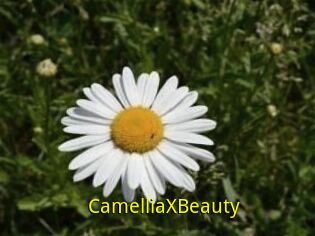 Camellia_XBeauty