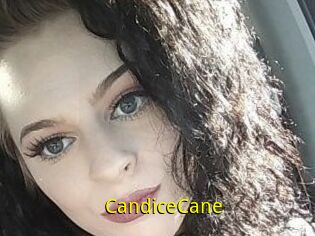 Candice_Cane